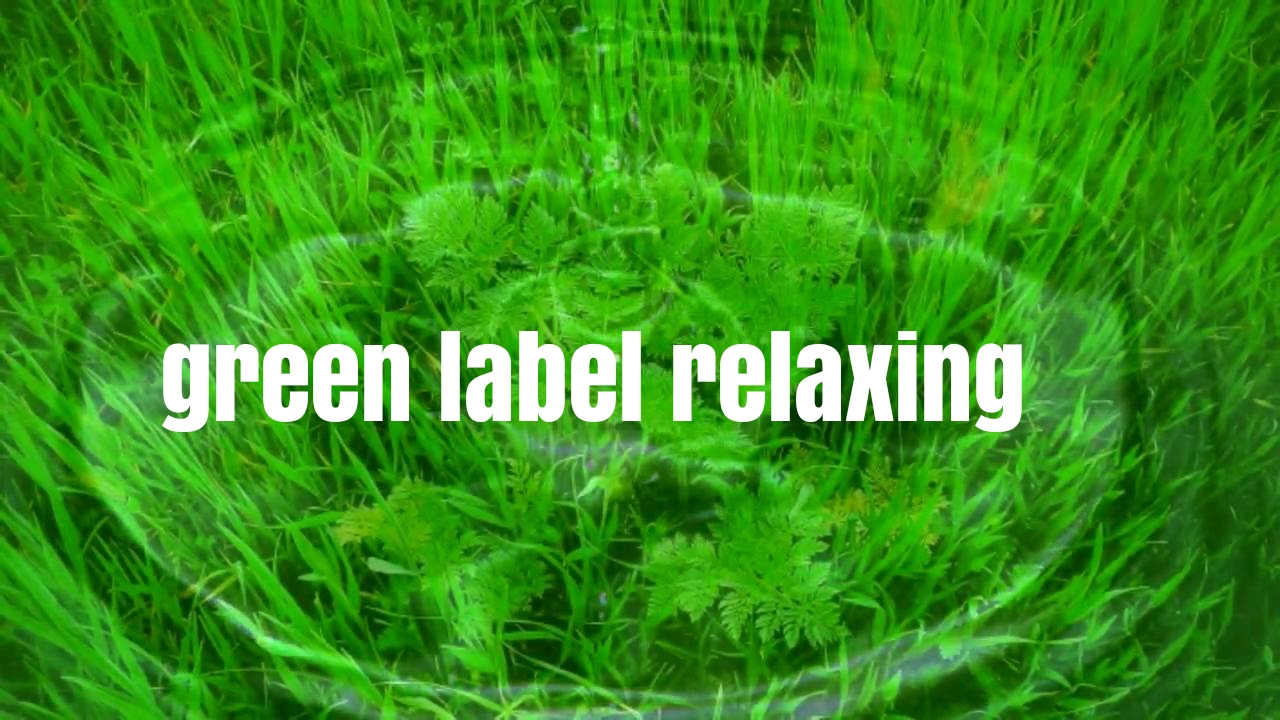 自分なりの癒しのスタイルを求めるならgreen label rlaxring