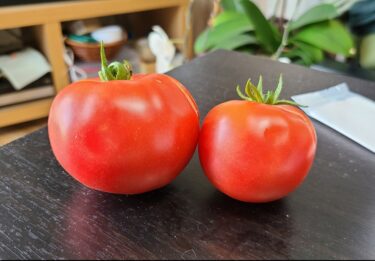 うちのベランダのトマトときゅうり